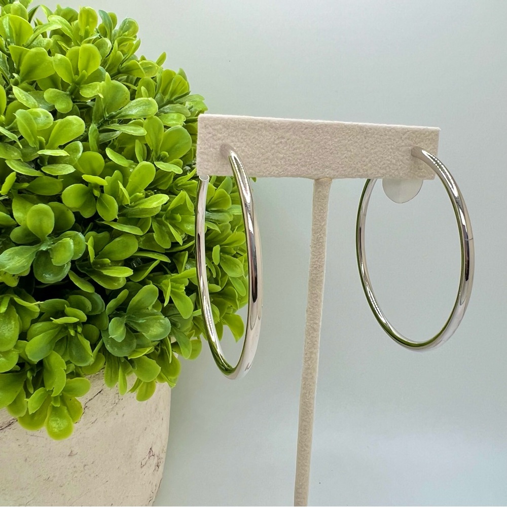 Silver Hoop Earrings